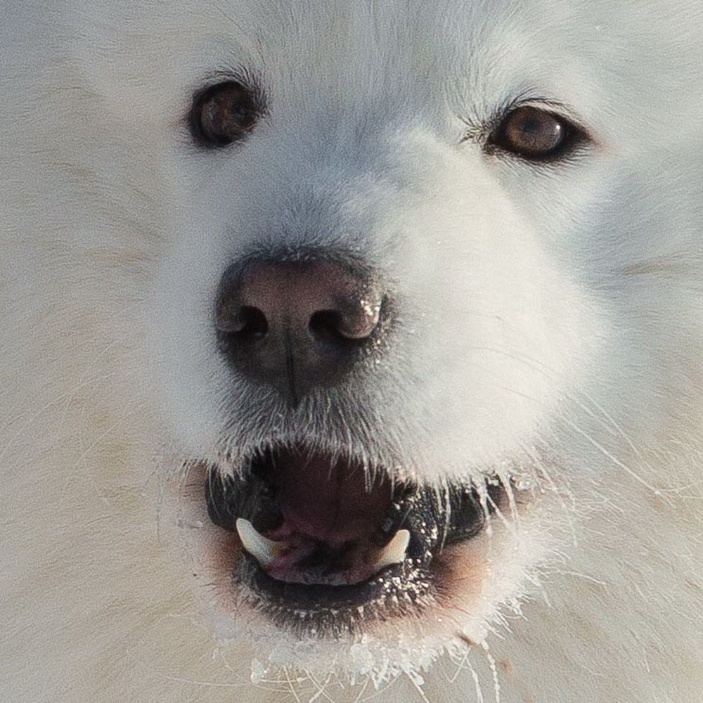 10 лет клубу Хэй-Хэй. Свадебный фотограф на Урале Виктор Соколов