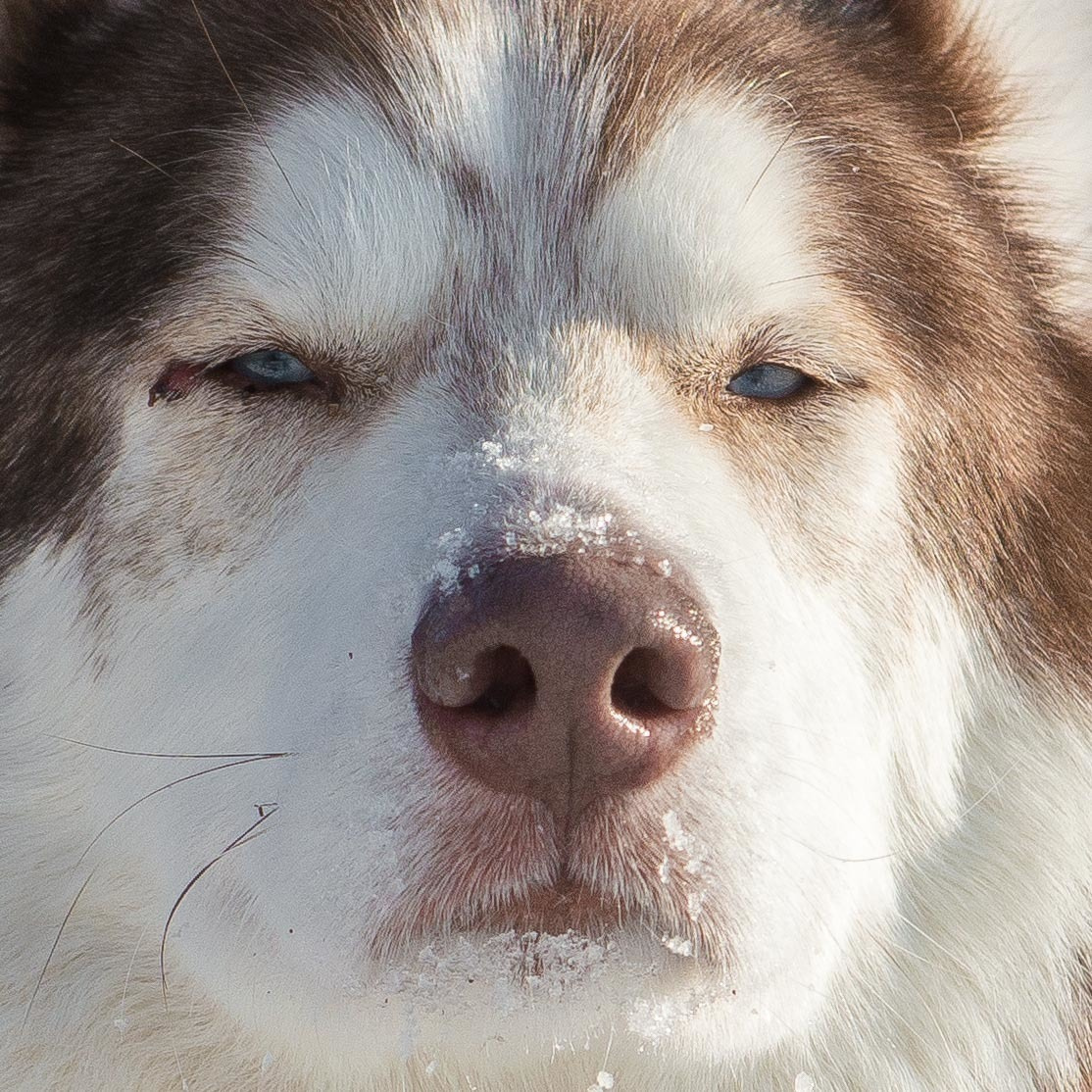 10 лет клубу Хэй-Хэй. Свадебный фотограф на Урале Виктор Соколов