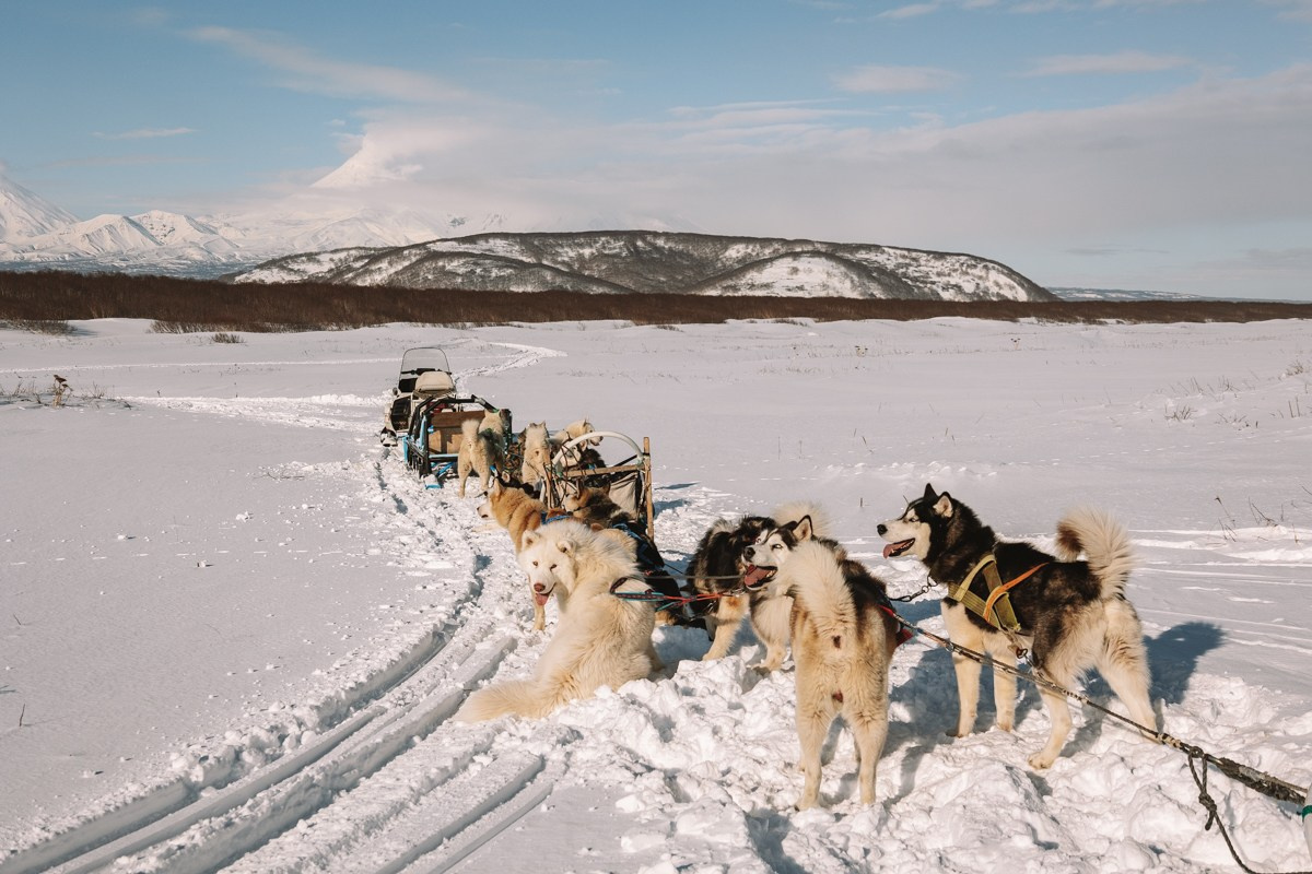 Камчатка. Главная