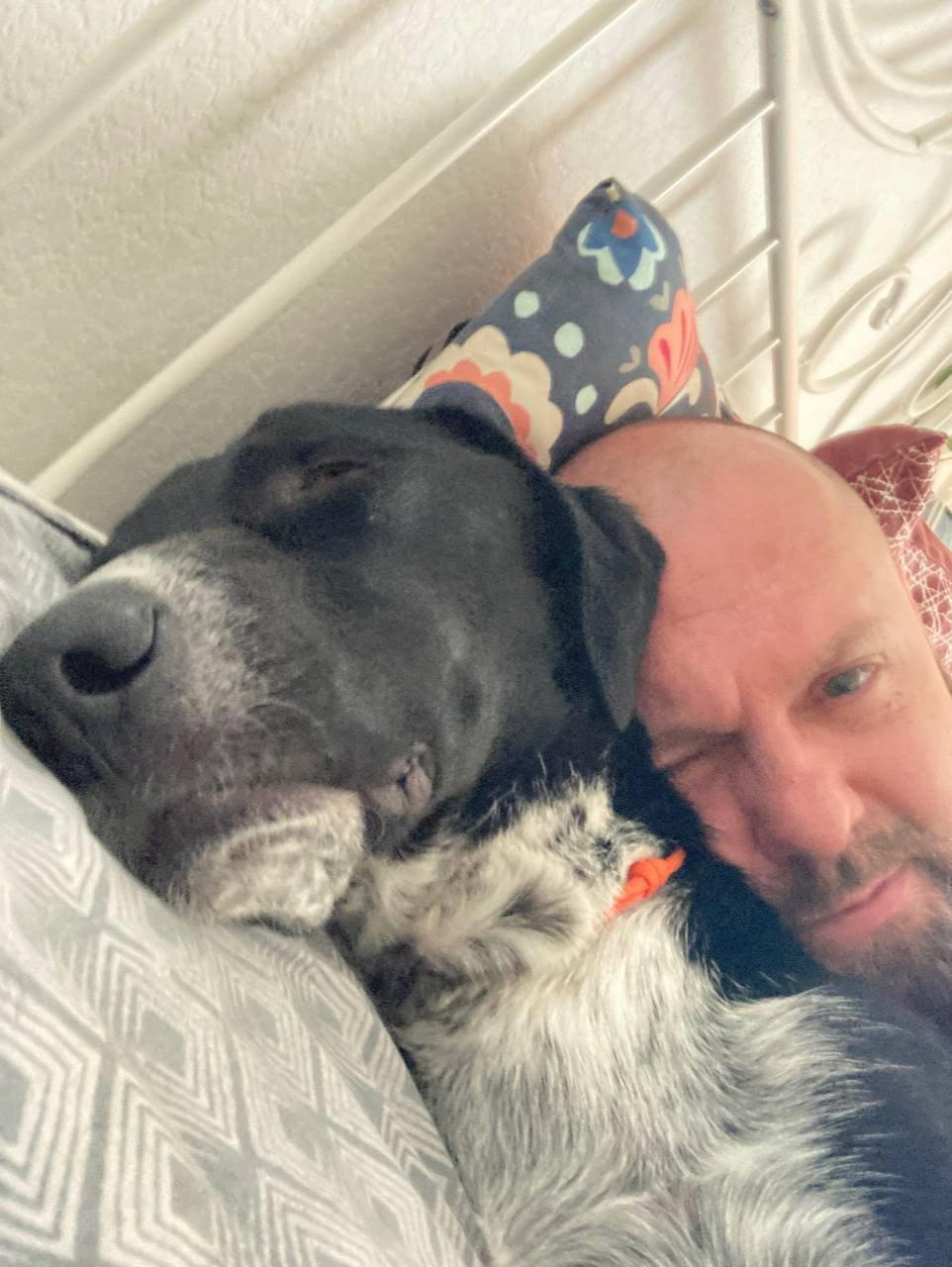 Уже дома. Забери домой друга