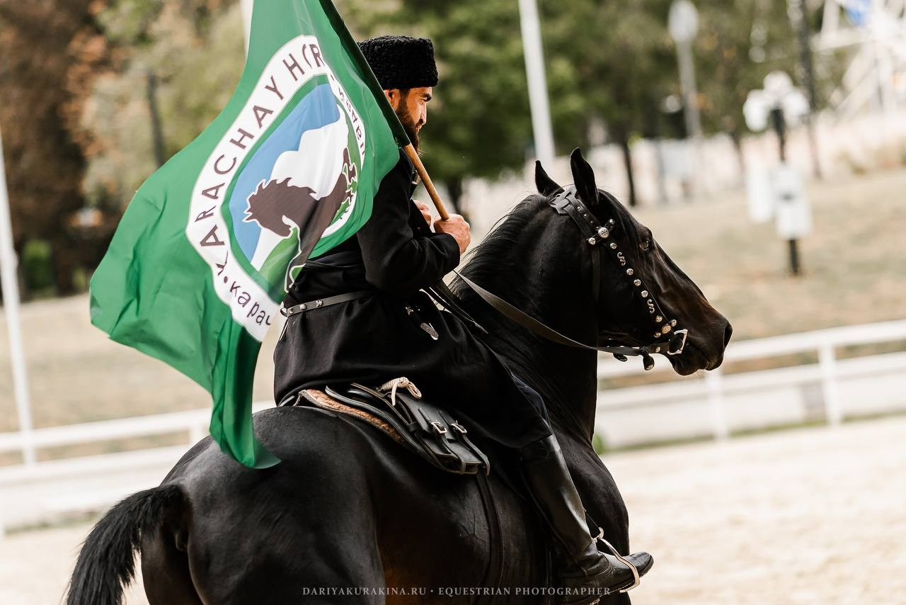 ЭКВИРОС 2024. Конный фотограф Куракина Дарья • Фотосессии с лошадьми