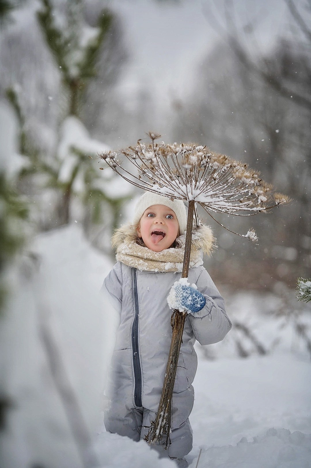 В снегу). Фотограф Ваших событий 📸