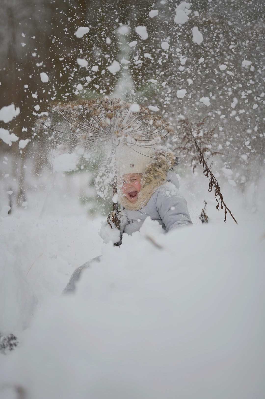 В снегу). Фотограф Ваших событий 📸