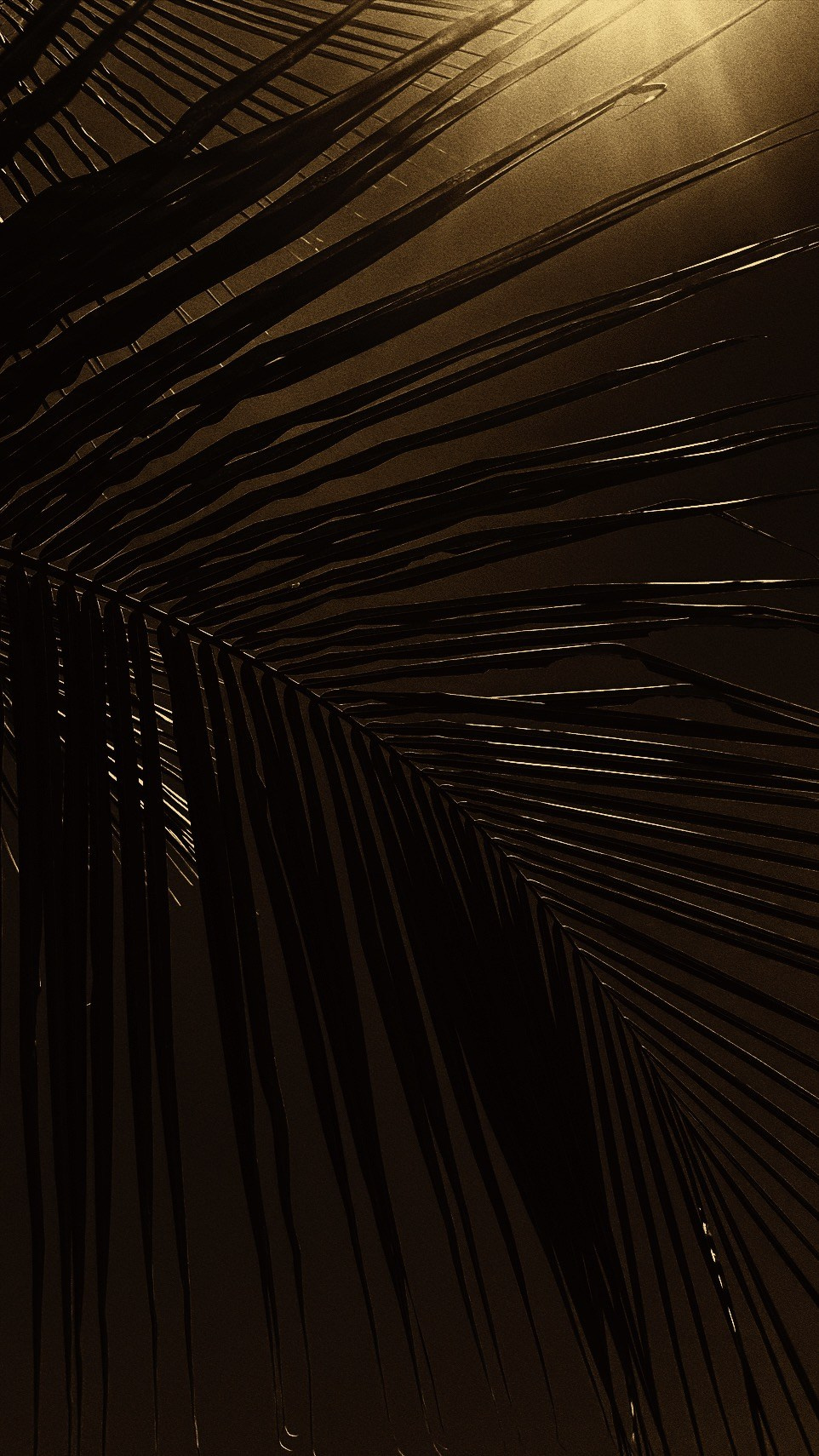 SOMEWHERE. Carolinetru