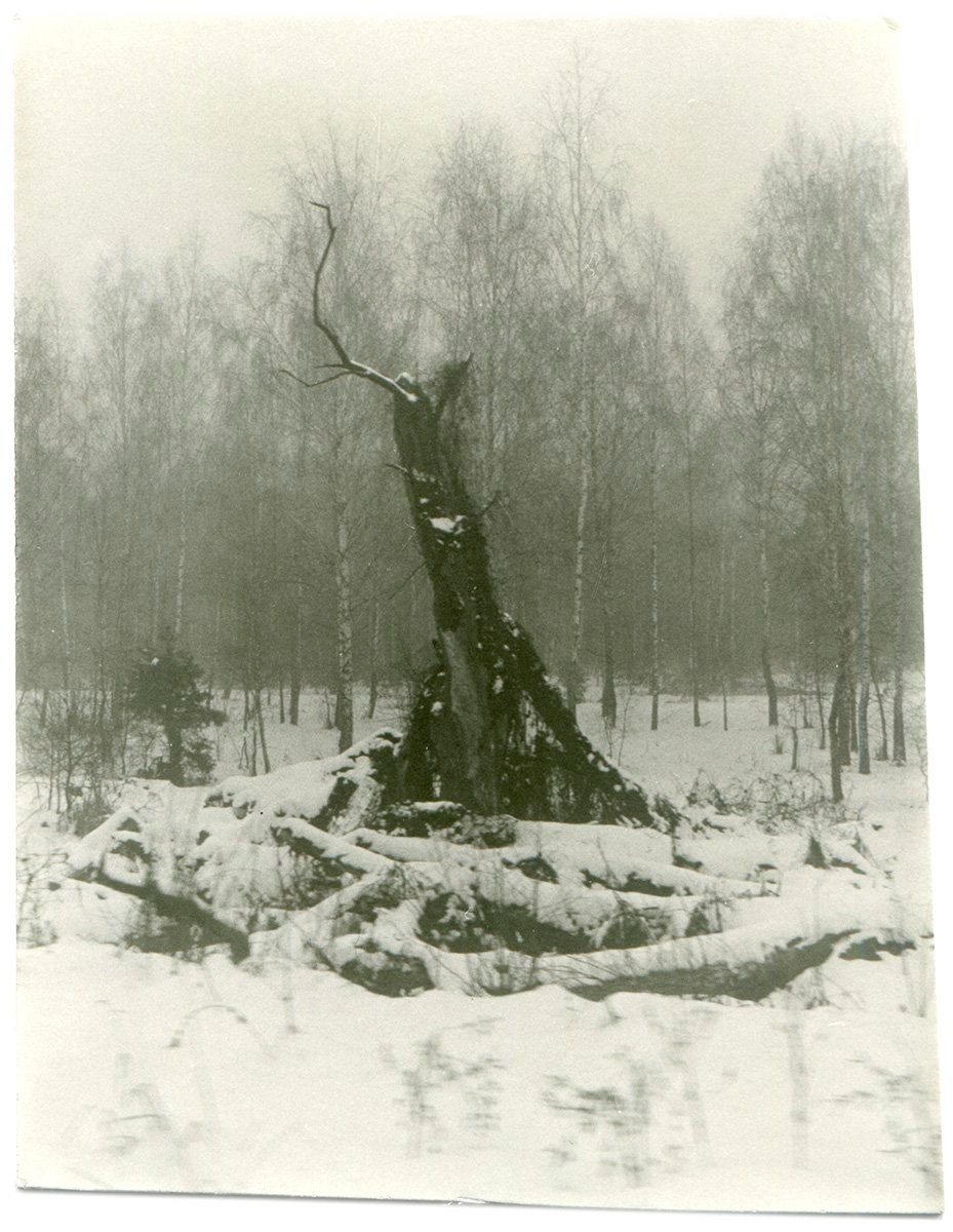 Книга Вика Бакина (Vic Bákin) «Epitome». Private image