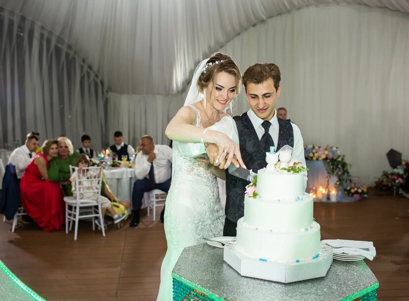 Милена и Илья. Ведущий на свадьбу в Москве Зубков Алексей