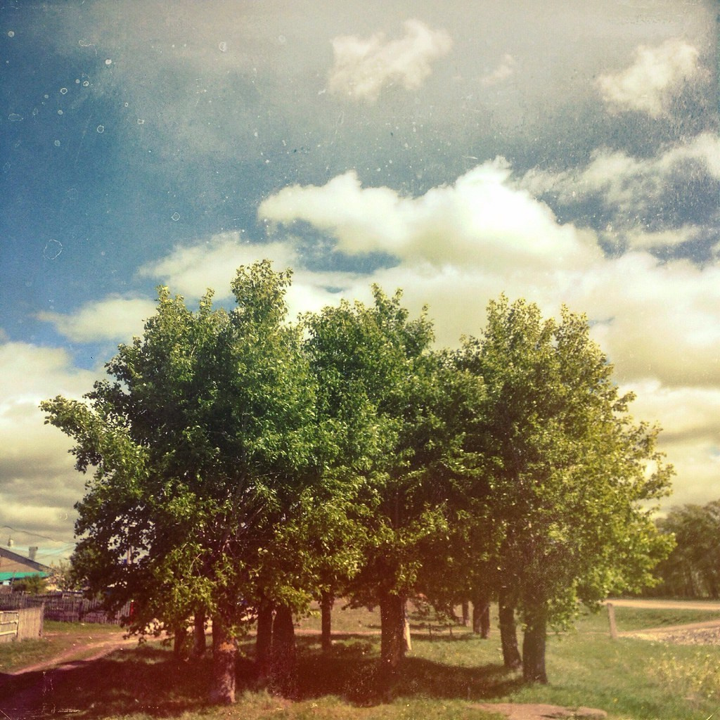 Пейзажи. Свадебный и портретный фотограф в Новом Уренгое Андрей Нелескин