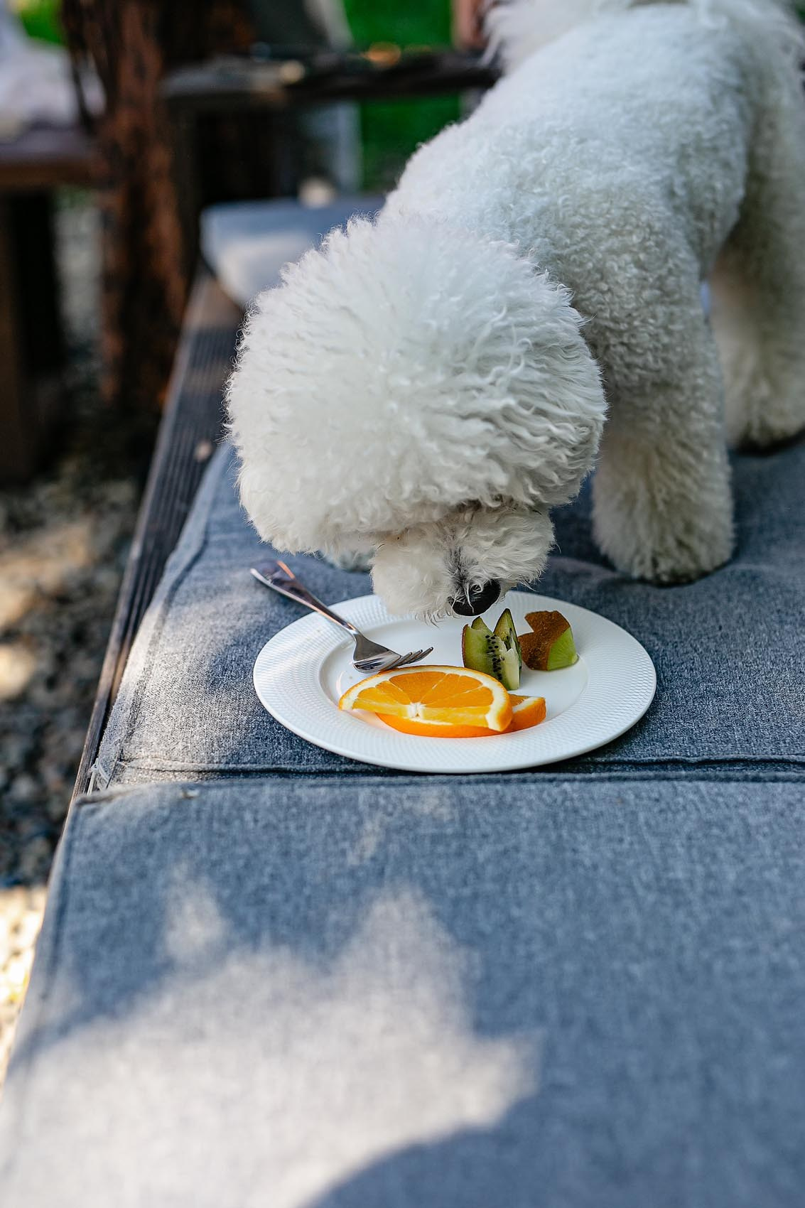 Детский день рождения г Владивосток. Владивосток семейный фотограф Александр Степанов