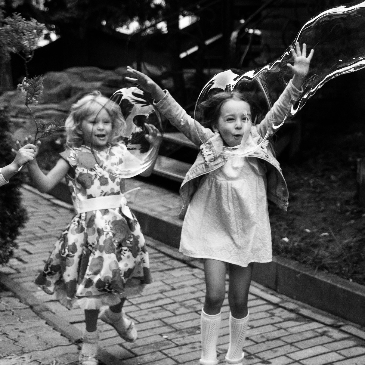 Фотограф Владимир Лукашев