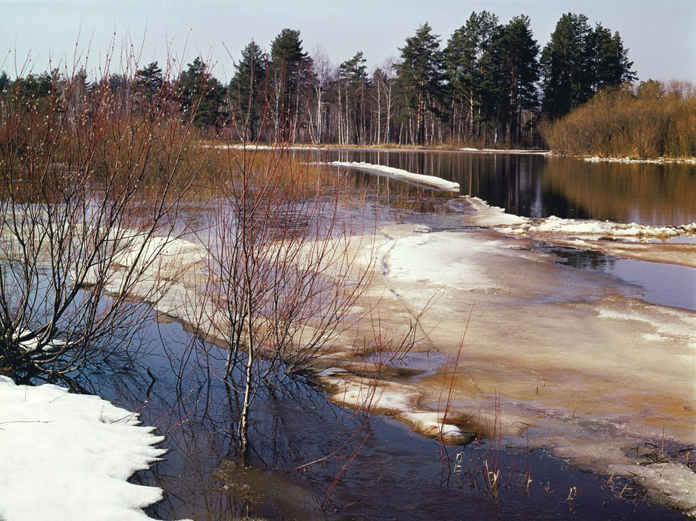 Весна. ВАДИМ ГИППЕНРЕЙТЕР — ВЕЛИКИЙ ФОТОГРАФ ЗЕМЛИ РУССКОЙ