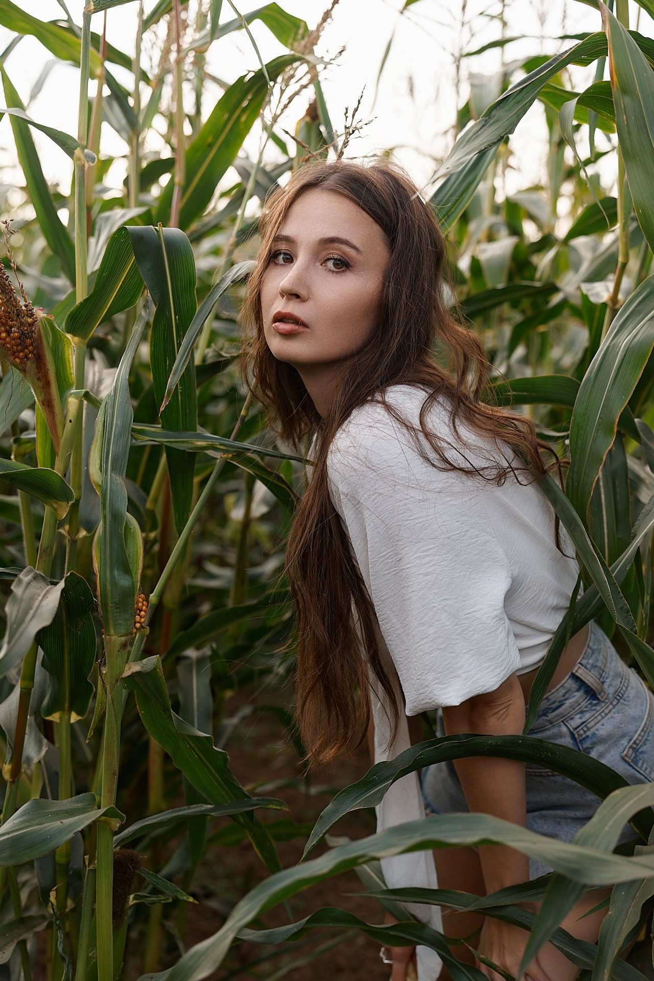 София в кукурузе. Репортажный фотограф в Кирове Сергей Дудин