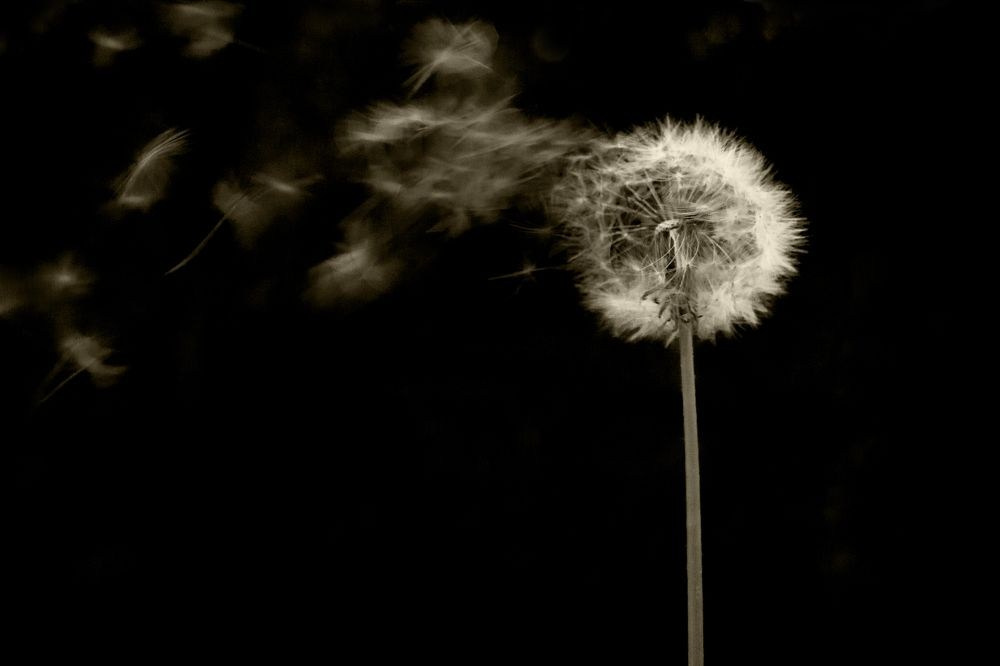 Предметная фотография. Детский и семейный фотограф в Санкт-Петербурге Анна Марковская