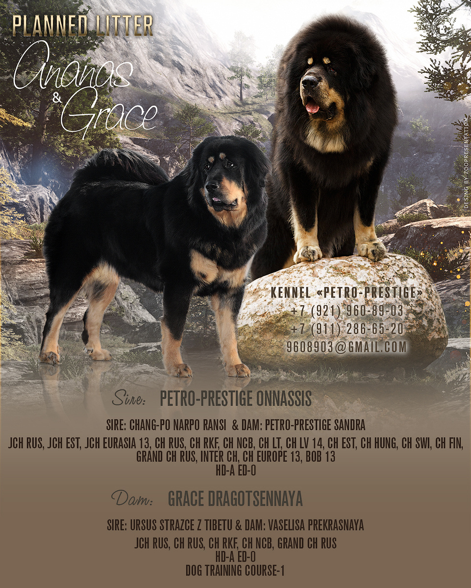 Презентация помета