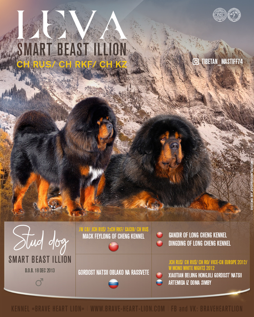 Презентации для кобеля