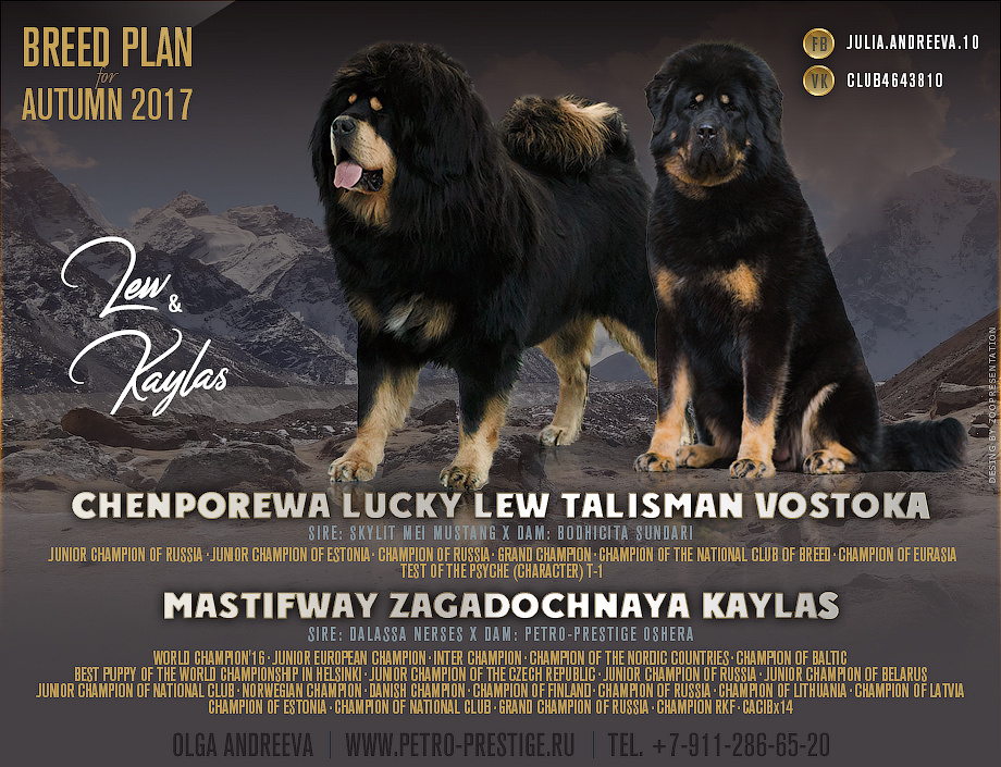 Презентация помета