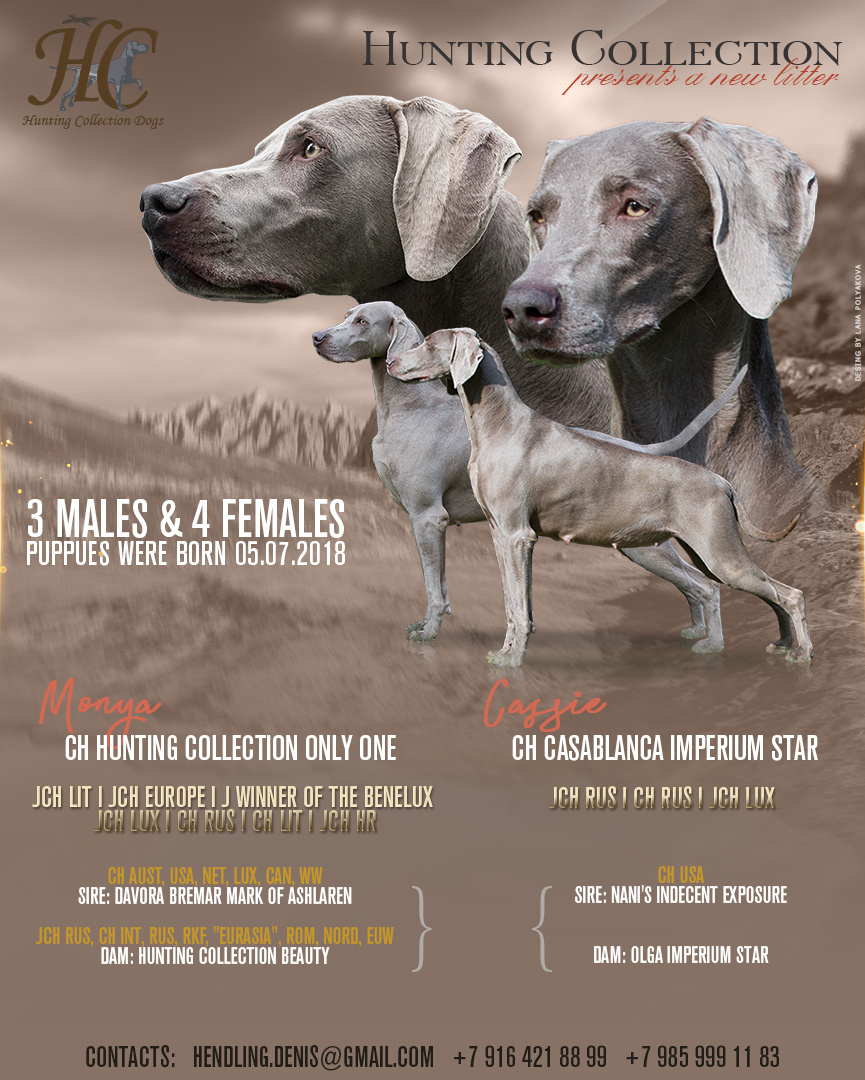 Презентация помета 