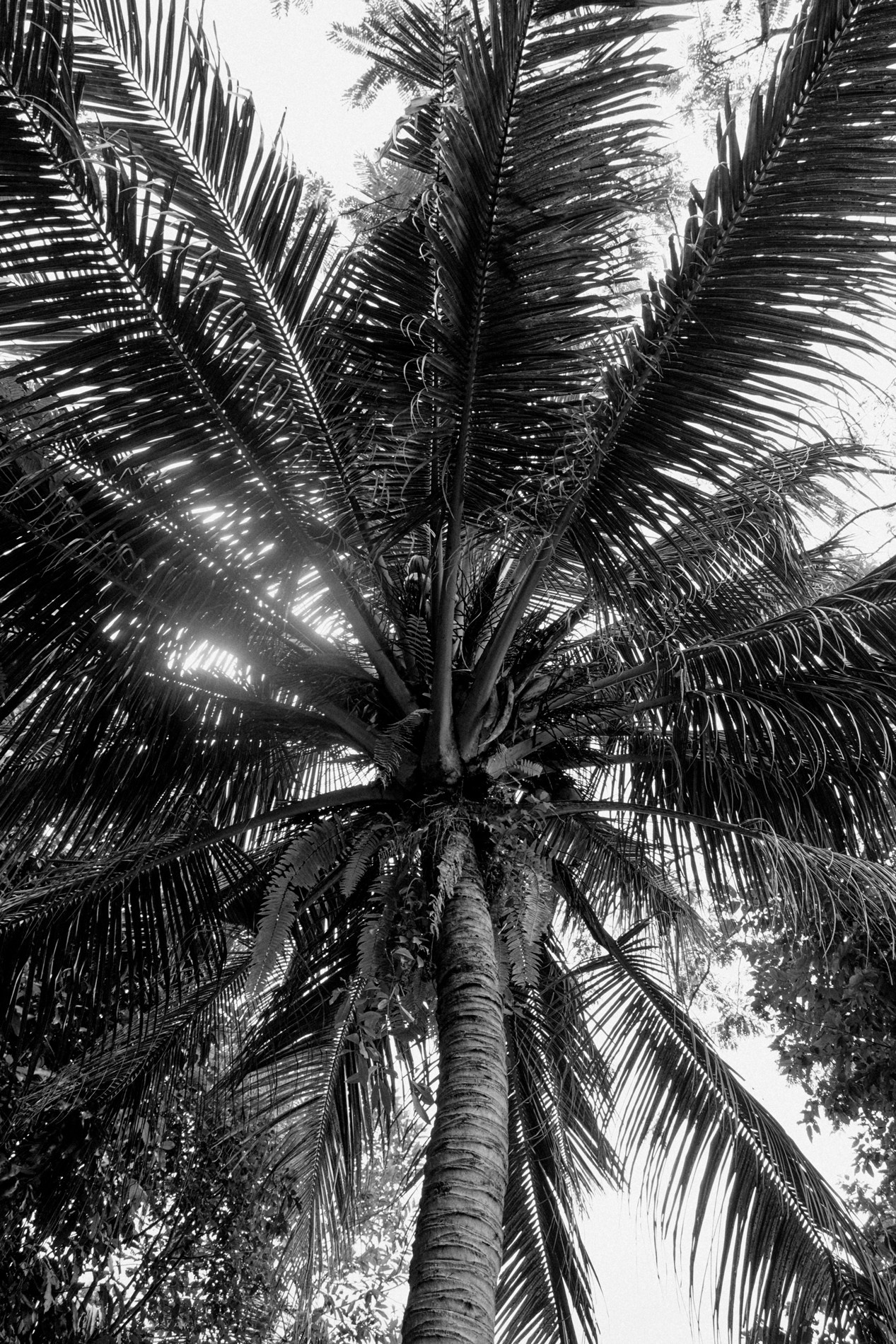 PORTRAITS. Photographer Monaco, Nice, French Riviera