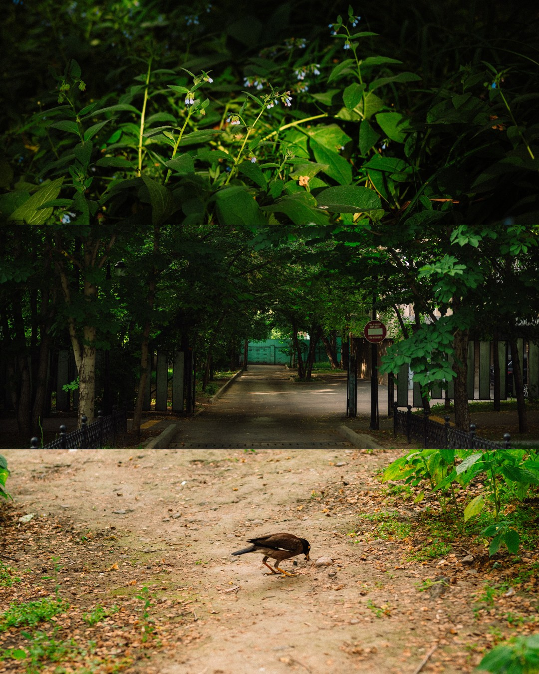 Стрит: Алматы, лето 2025. Фотограф в Алматы — Дарья Фёдорова