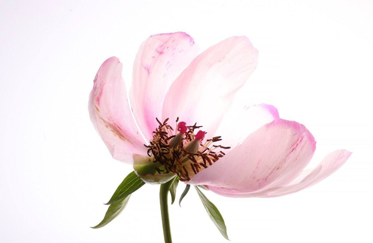 Предметы. Фотограф в Москве Юлия Майорова