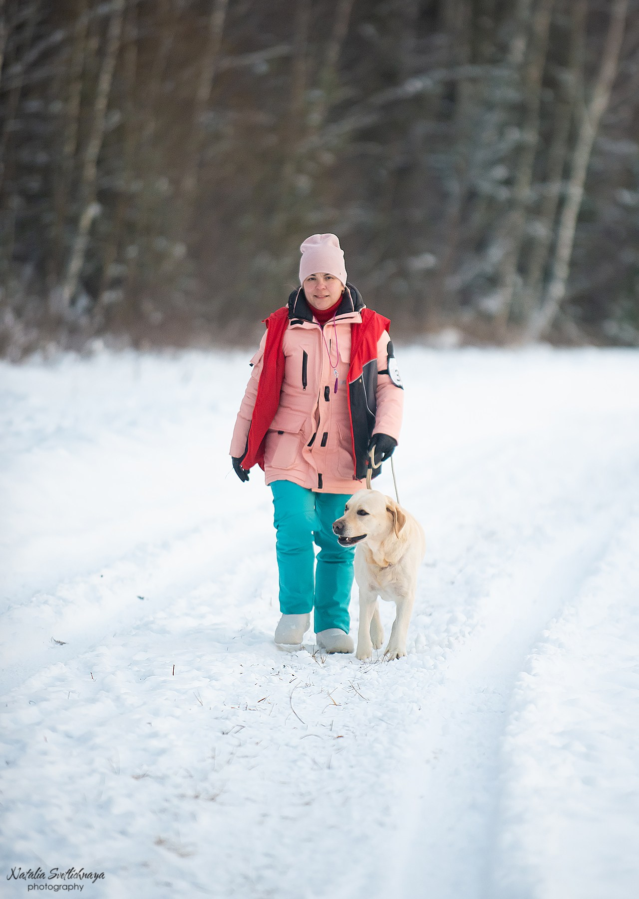 Тренировочный воркинг тест Школы Шмеля, 02 декабря 2023. Фотограф-анималист Наталья Светличная