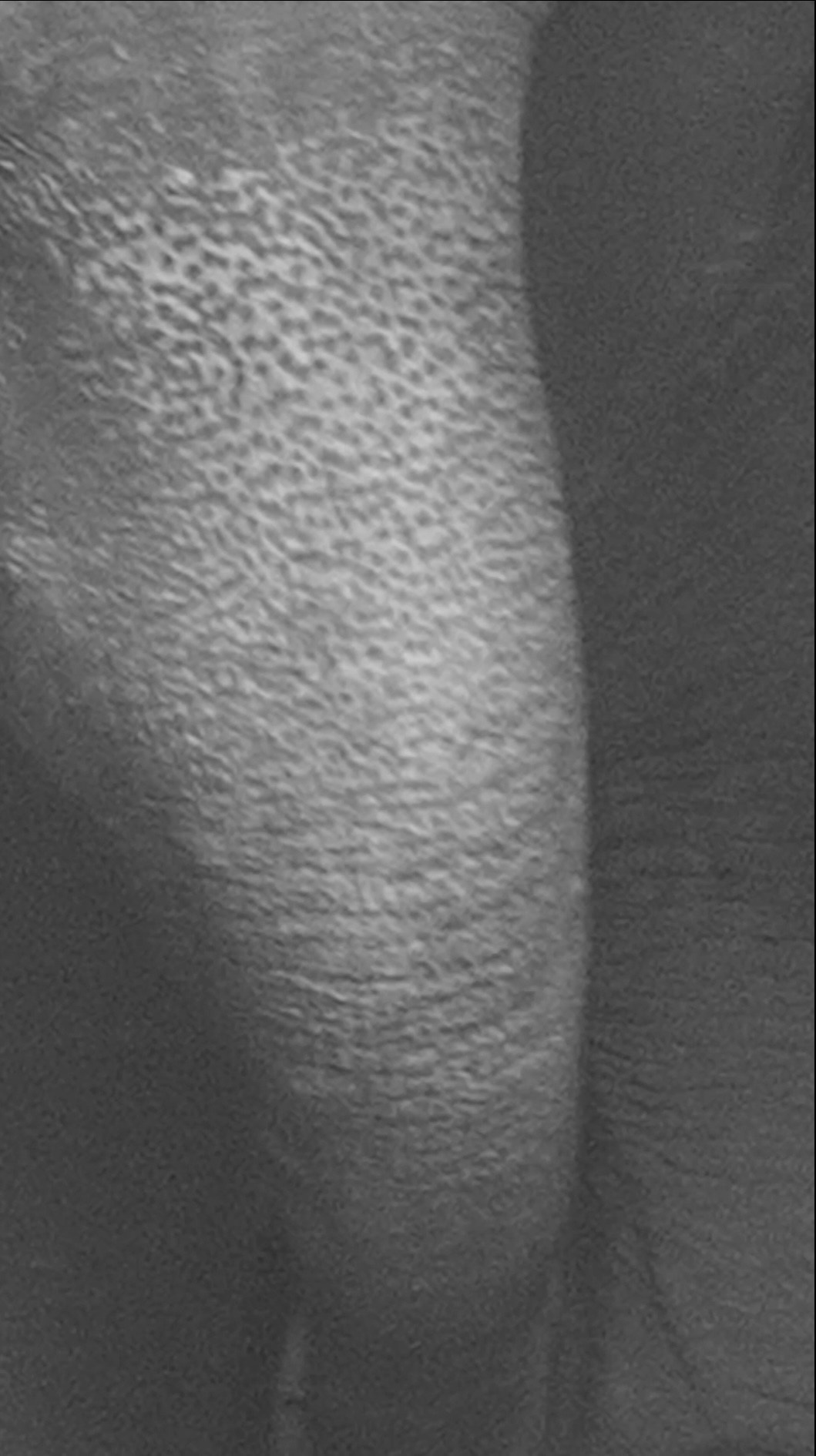 ПРЕГОЛЯ НЕ РЕКА. Художественная группа «Нежные Бабы»