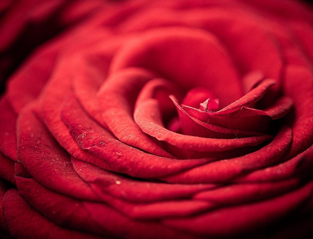 Разное. Fotolux