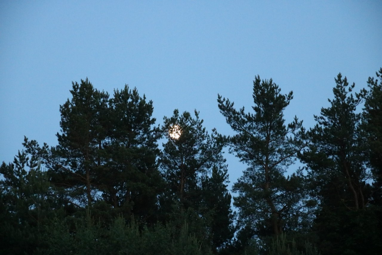 Походная Романтика 17 | 17-19.06.2016. Галерея Фантим