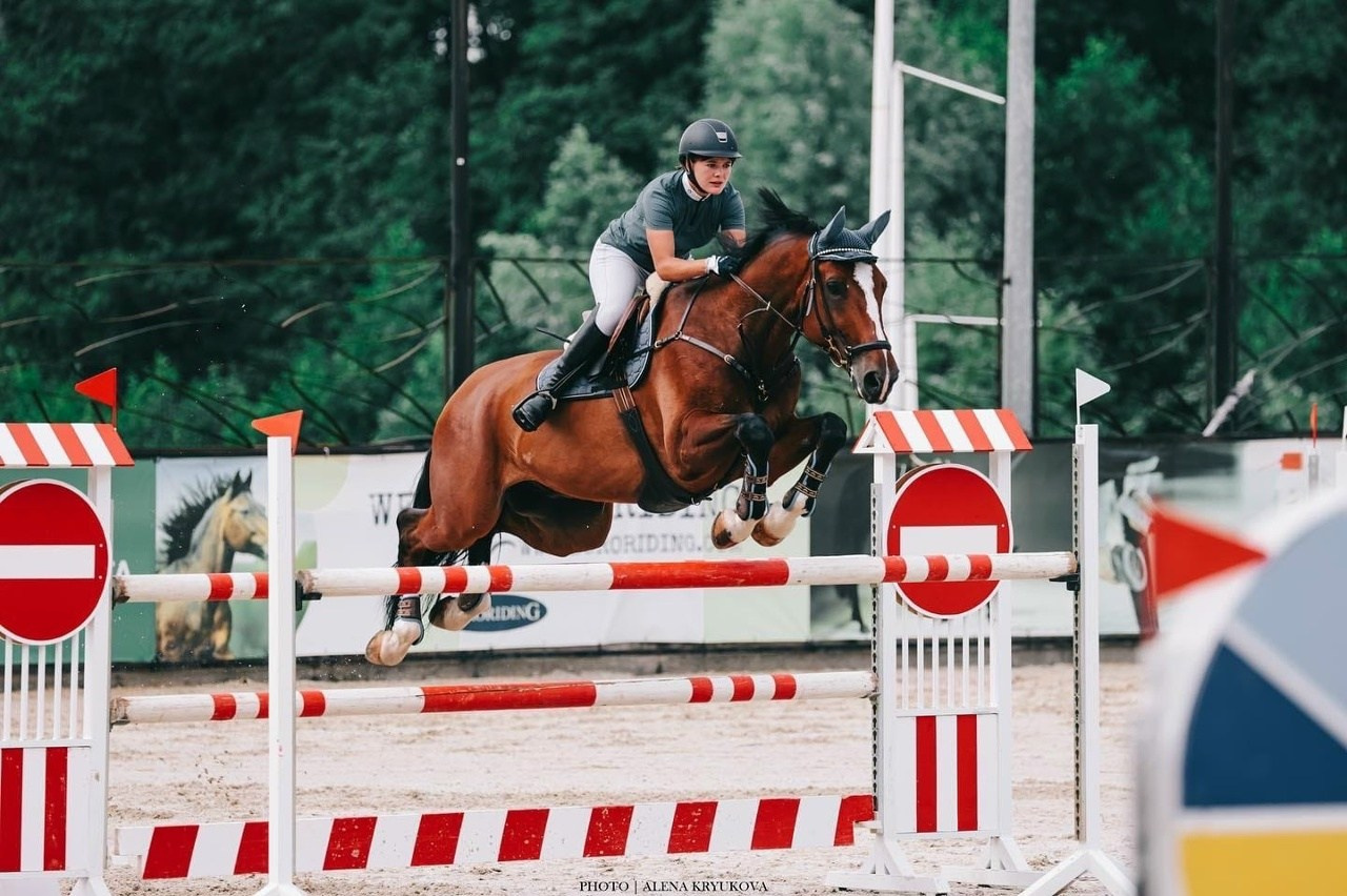 Летние соревнования. Фотосессии с лошадьми