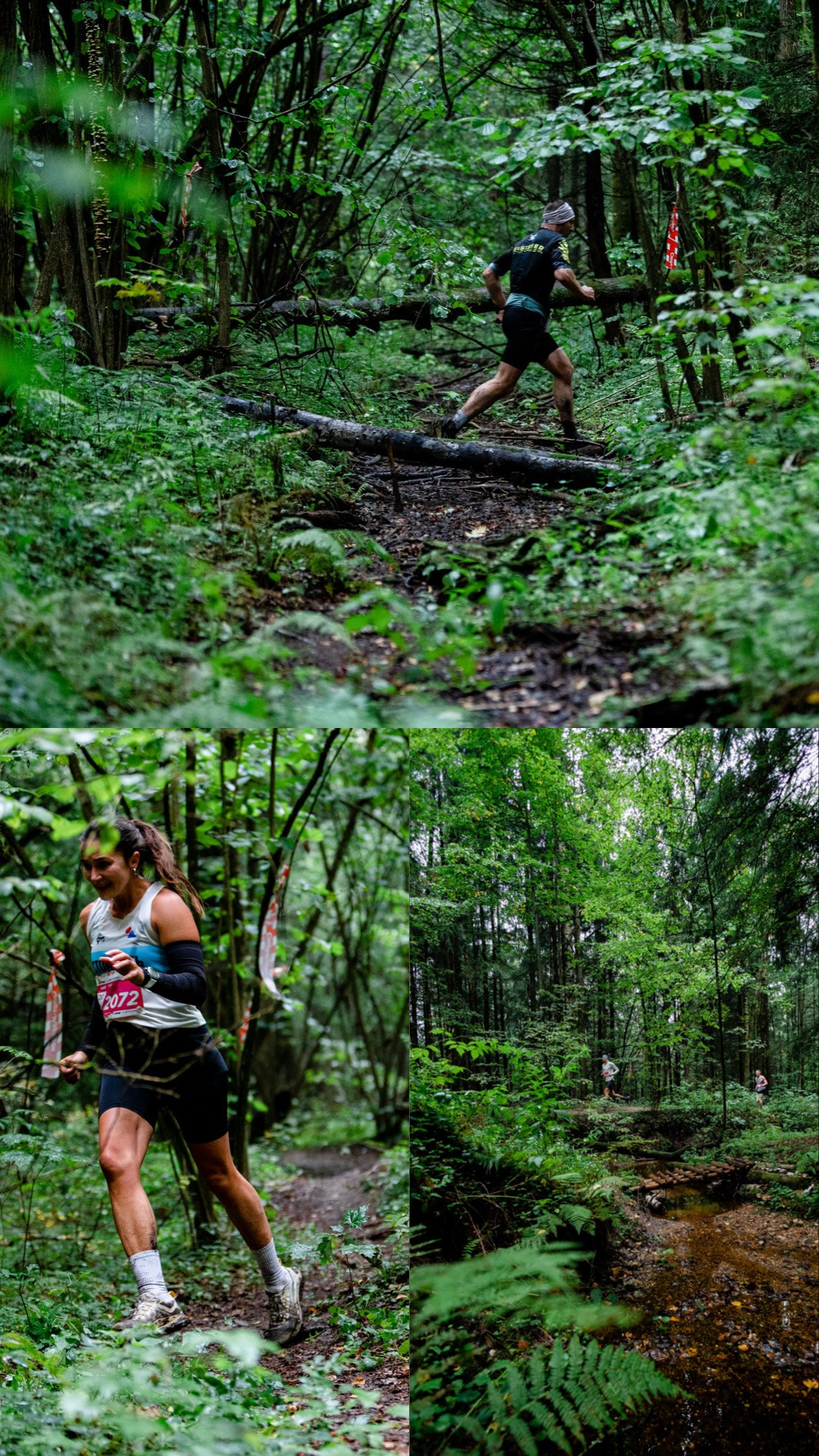 City Trail Losiny Ostrov. Павел Шарапов | Фотограф | Москва