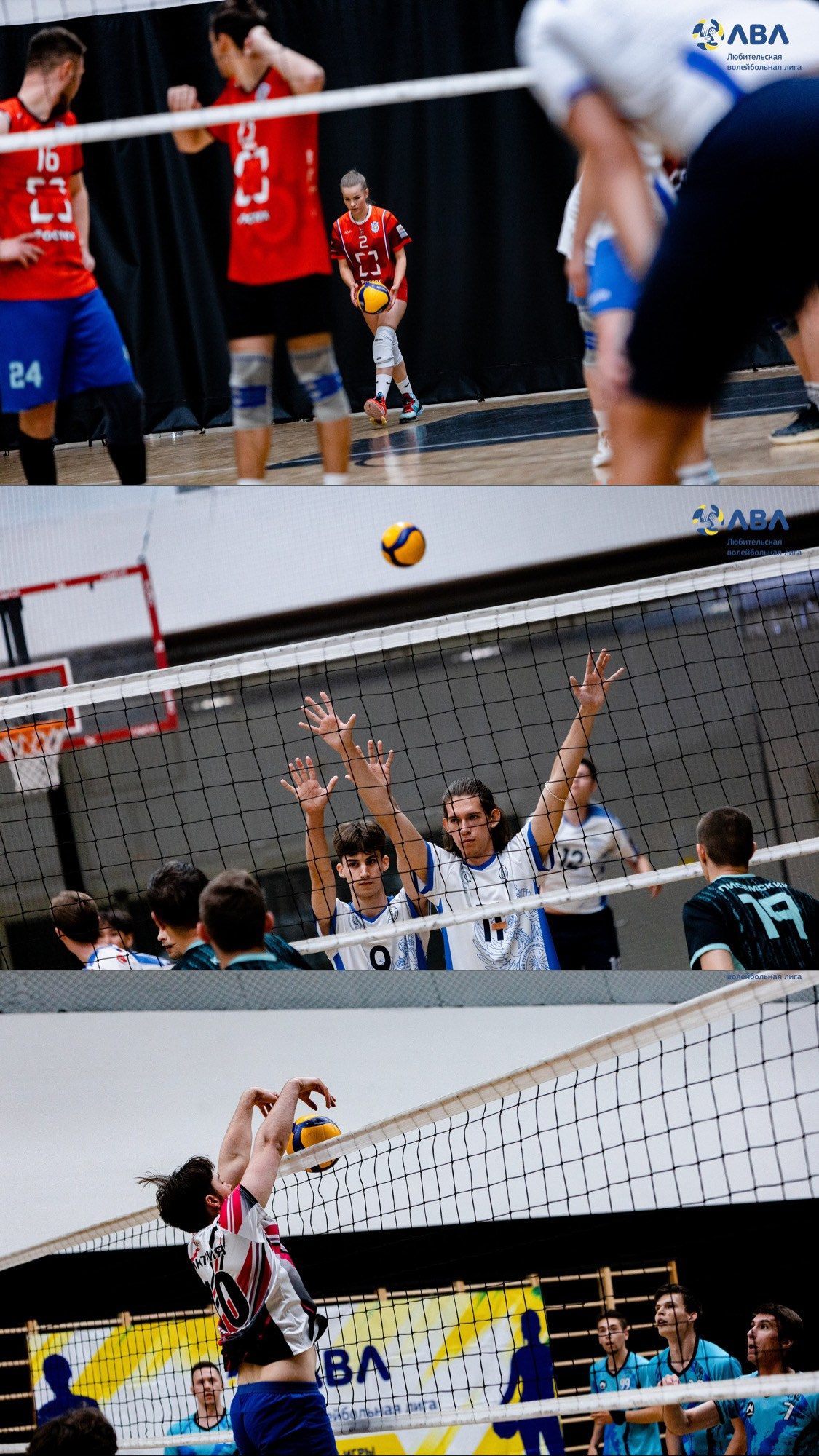 Полуфинальные матчи Любительской волейбольной лиги. Павел Шарапов | Фотограф | Москва