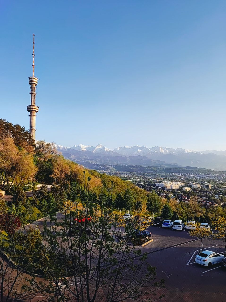 Намобилкус казахский. Репортажный фотограф Алексей Пирязев