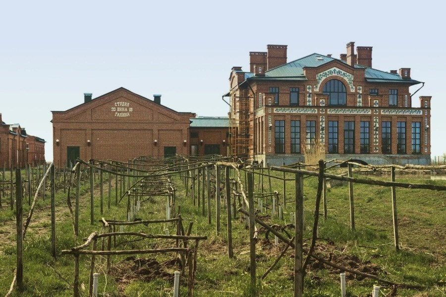 «Вина Арпачина». Фотограф для маркетплейсов Михаил Бове