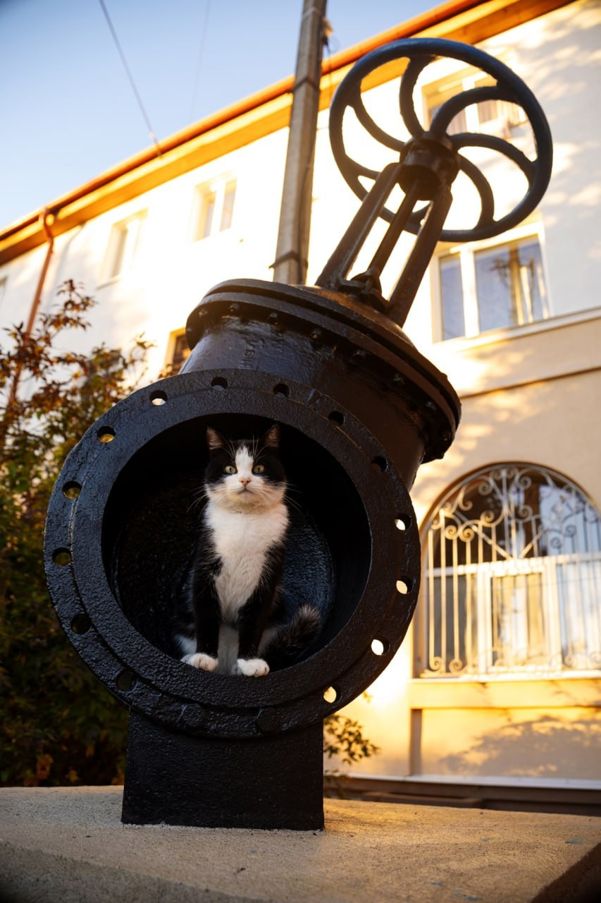 Калининград 2025. Фотограф Михаил Олейник