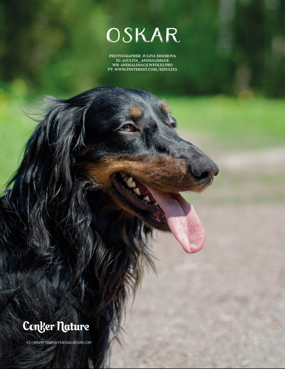 Публикации. Фотограф анималист