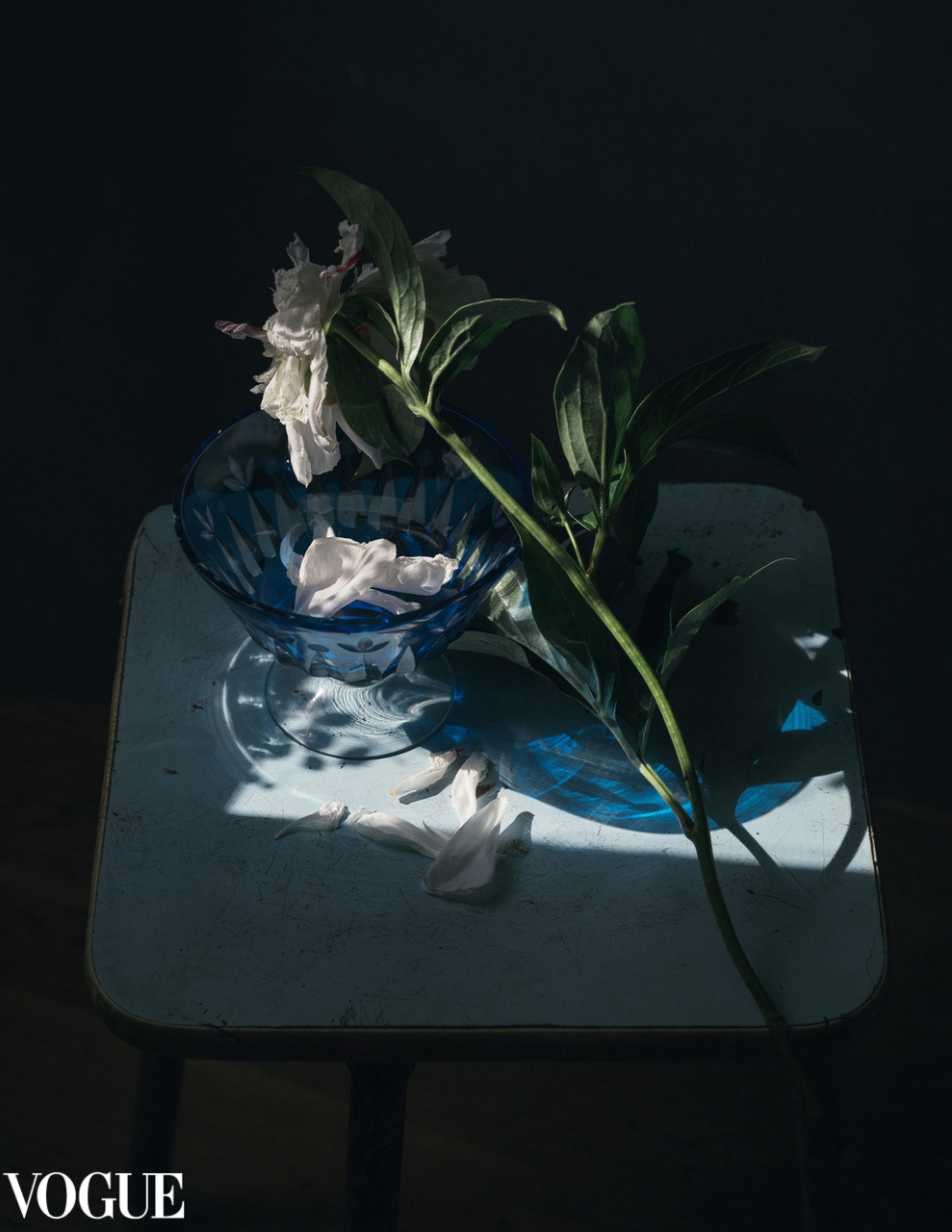 Photovogue. Фотограф Елена Хазина, Рязань