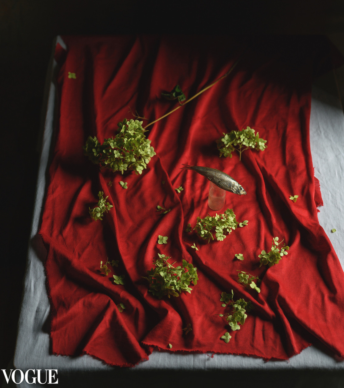 Photovogue. Фотограф Елена Хазина, Рязань