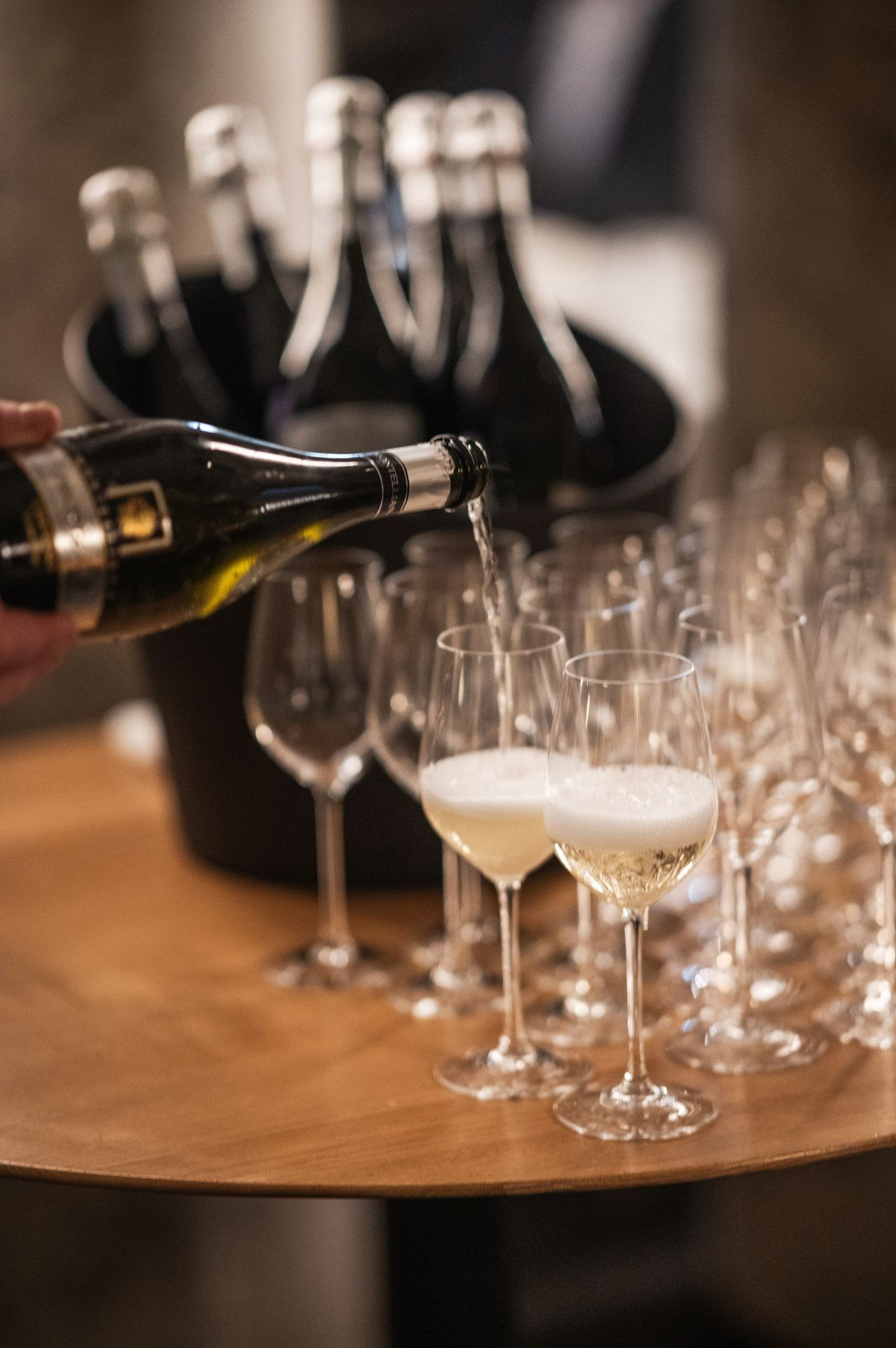 Siamese Asset — Krasnoyarsk 5.03.2025. Фотогалерея Kalinka Thailand