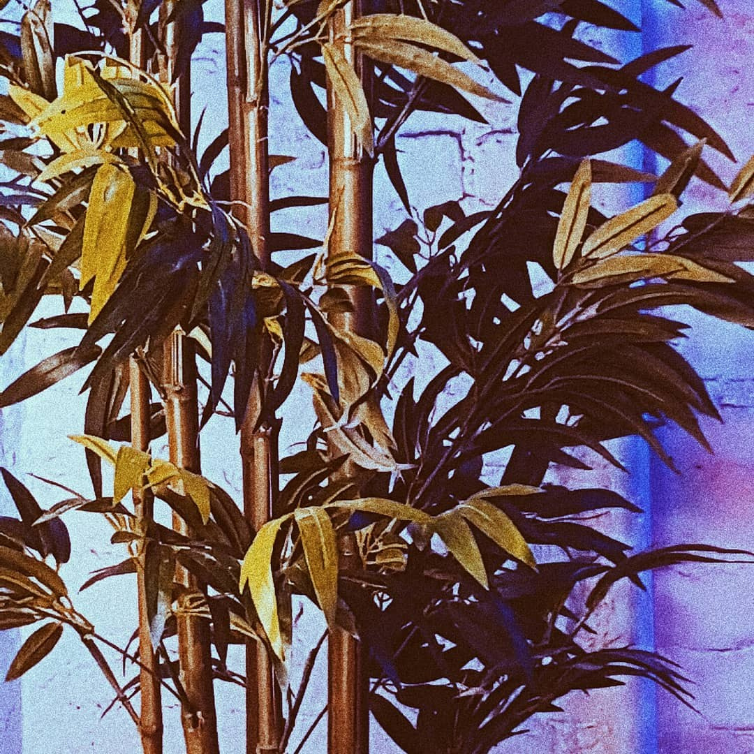 Современная концептуальная фотография о теле, уязвимости и идентичности. Визуальная практика на стиле честности, пост-иронии и искусства.Рекламная фотография, Концептуальная фотография, Современный художник, Психология, Коммерческий фотограф, Репортажный фотограф, Стрит фотография, Арт, Сюрреализм, Мобильная фотография, Снято на айфон, Дима Бурза