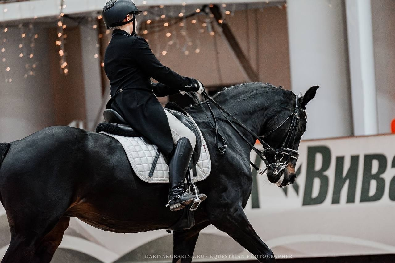 ЗИМНИЙ КУБОК ФКСМ по ВЫЕЗДКЕ. Куракина Дарья • Конный фотограф