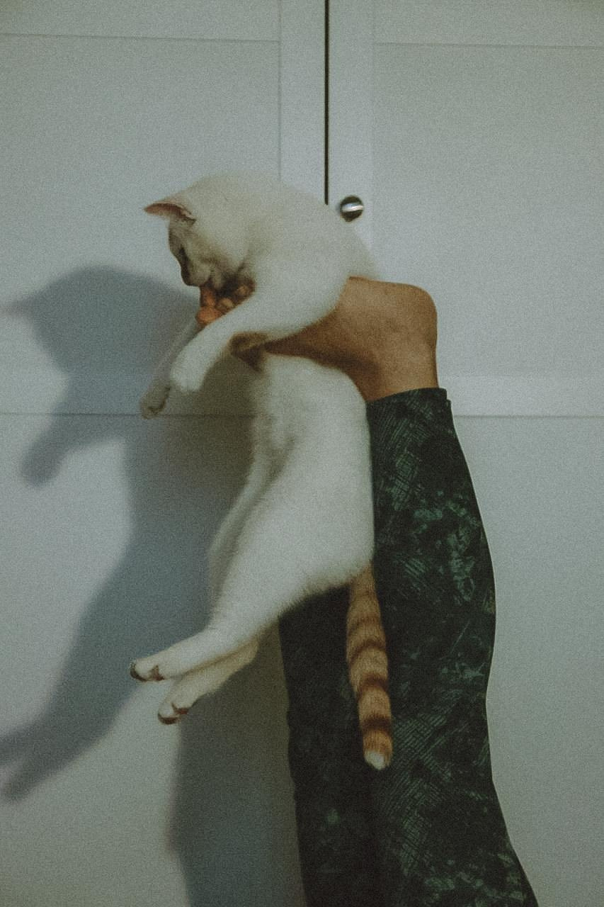 Курсы на фотографа-анималиста