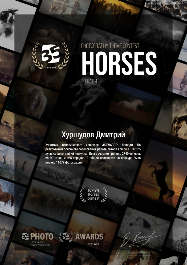 Дипломы. Дмитрий Хуршудов — профессиональный фотограф в Москве. Портретная и гламурная ню (boudoir) съемка. Фотосессии в студии и на выезде