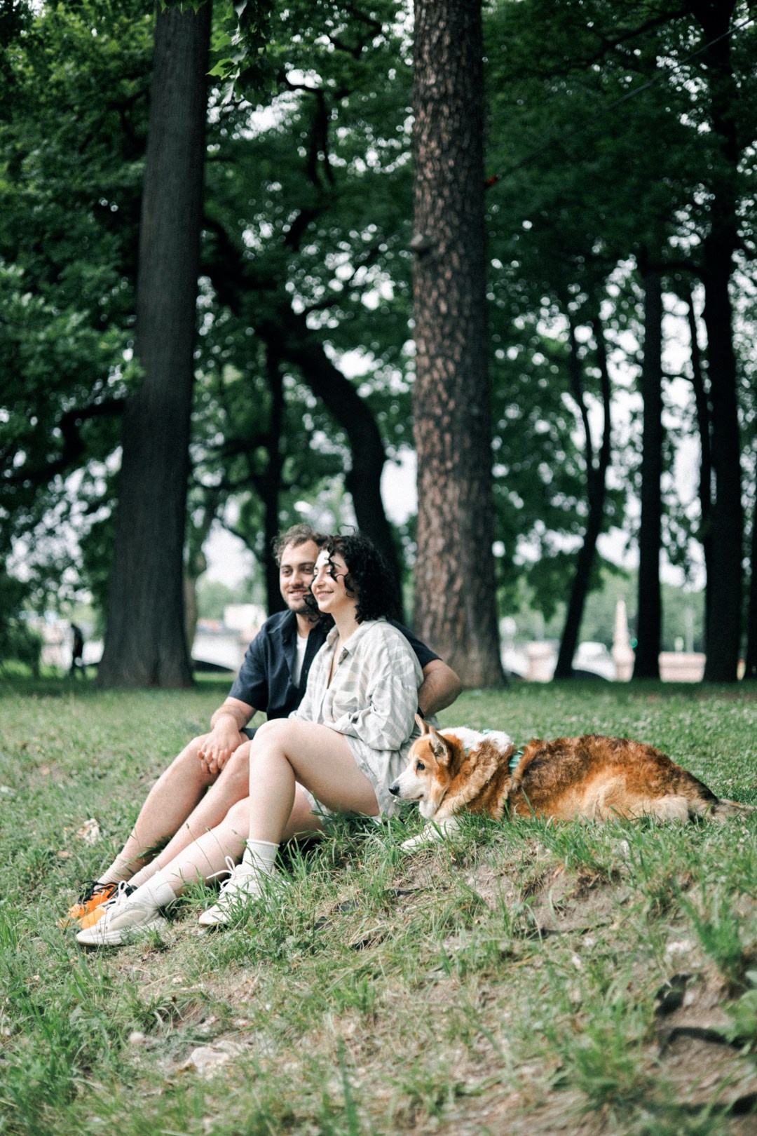 Dogs. Юлия Астра: Фотограф в Санкт-Петербурге. Снимаю женские портреты, уличные съёмки в Петербурге и людей с их собаками