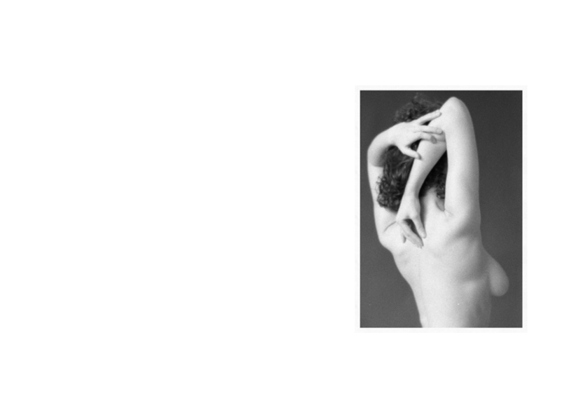 See into the trees — zine. Pictorial dream — fine art fil photography by Yaroslav Pavlov