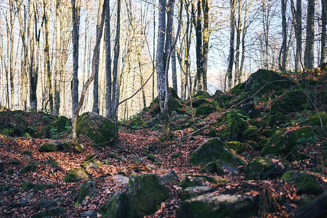 Фотографии с похода на водопад Поликария. Фотограф в Сочи Катя Гончарова