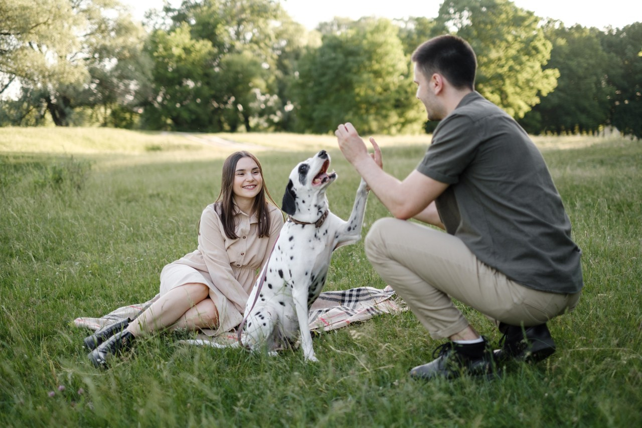 Костя и Маша. Свадебный фотограф в Брянске Иванникова Елена