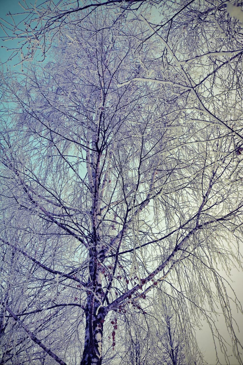 Фотограф Татьяна Марсуверских г. Жуковский, Москва. Репортажные съёмки, фотосессии, фотограф анималист, артфотограф, фотограф пейзажист. Фотограф для маркетплейсов, фотоуслуги в Жуковском Татьяна Марсуверских