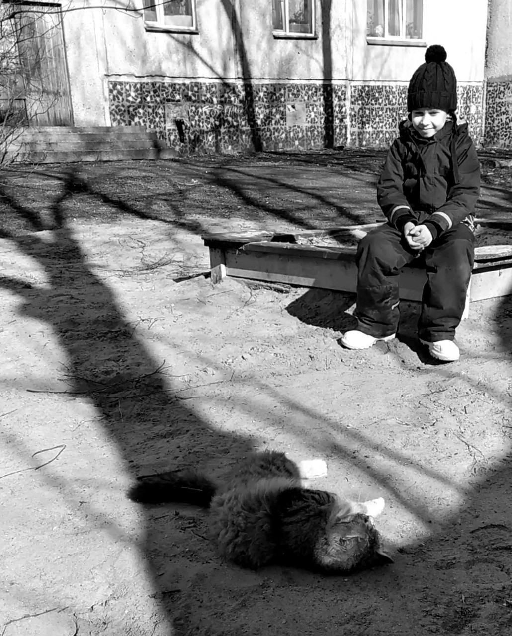 Фотограф Татьяна Марсуверских г. Жуковский, Москва и Мо. Репортажные съёмки, фотосессии,  фотограф анималист, фотосъёмка животных. Фотограф для маркетплейсов, фотоуслуги в Жуковском Татьяна Марсуверских