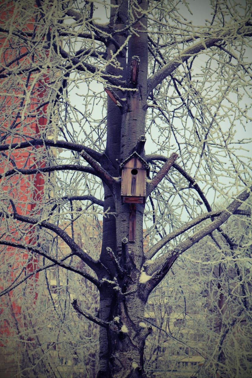 Фотограф Татьяна Марсуверских г. Жуковский, Москва. Репортажные съёмки, фотосессии, фотограф анималист, артфотограф, фотограф пейзажист. Фотограф для маркетплейсов, фотоуслуги в Жуковском Татьяна Марсуверских