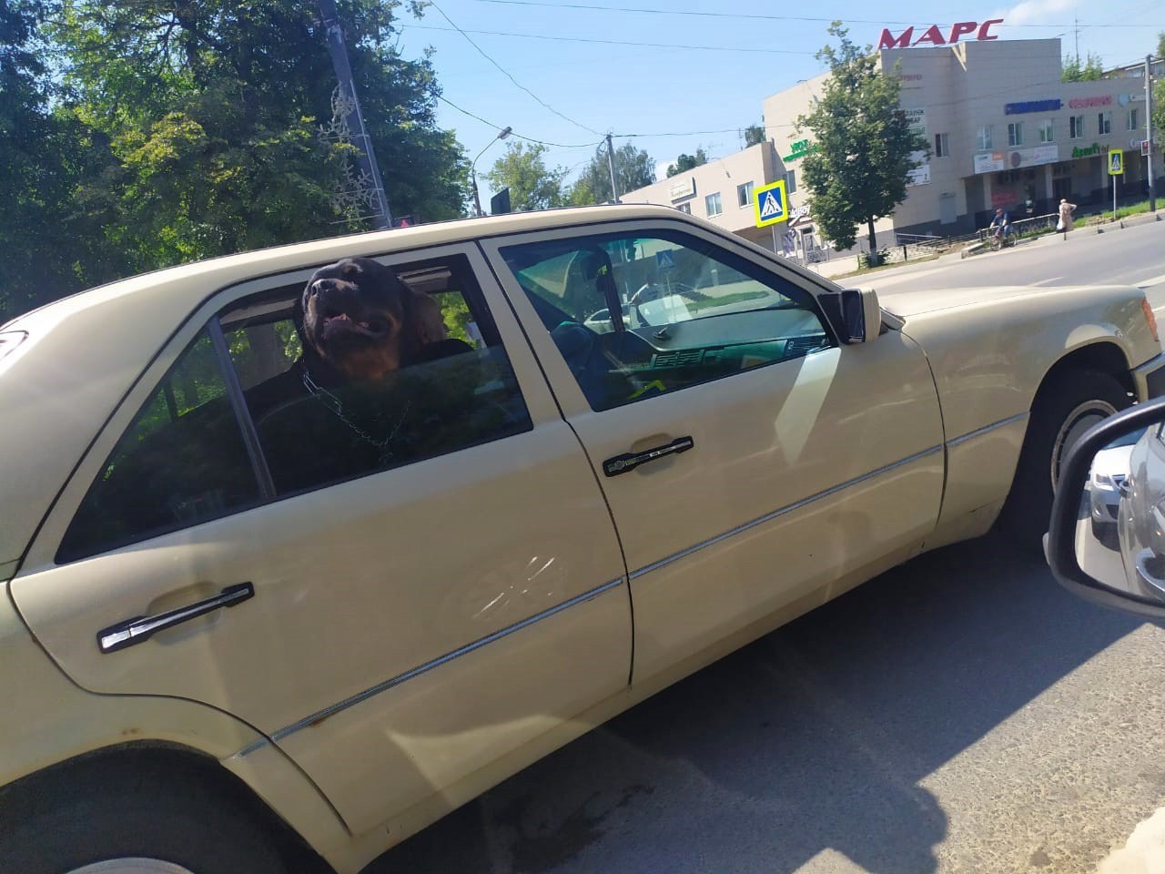 Фотограф Татьяна Марсуверских г. Жуковский, Москва. Репортажные съёмки, фотосессии, фотограф анималист, артфотограф, фотограф пейзажист. Фотограф для маркетплейсов, фотоуслуги в Жуковском Татьяна Марсуверских