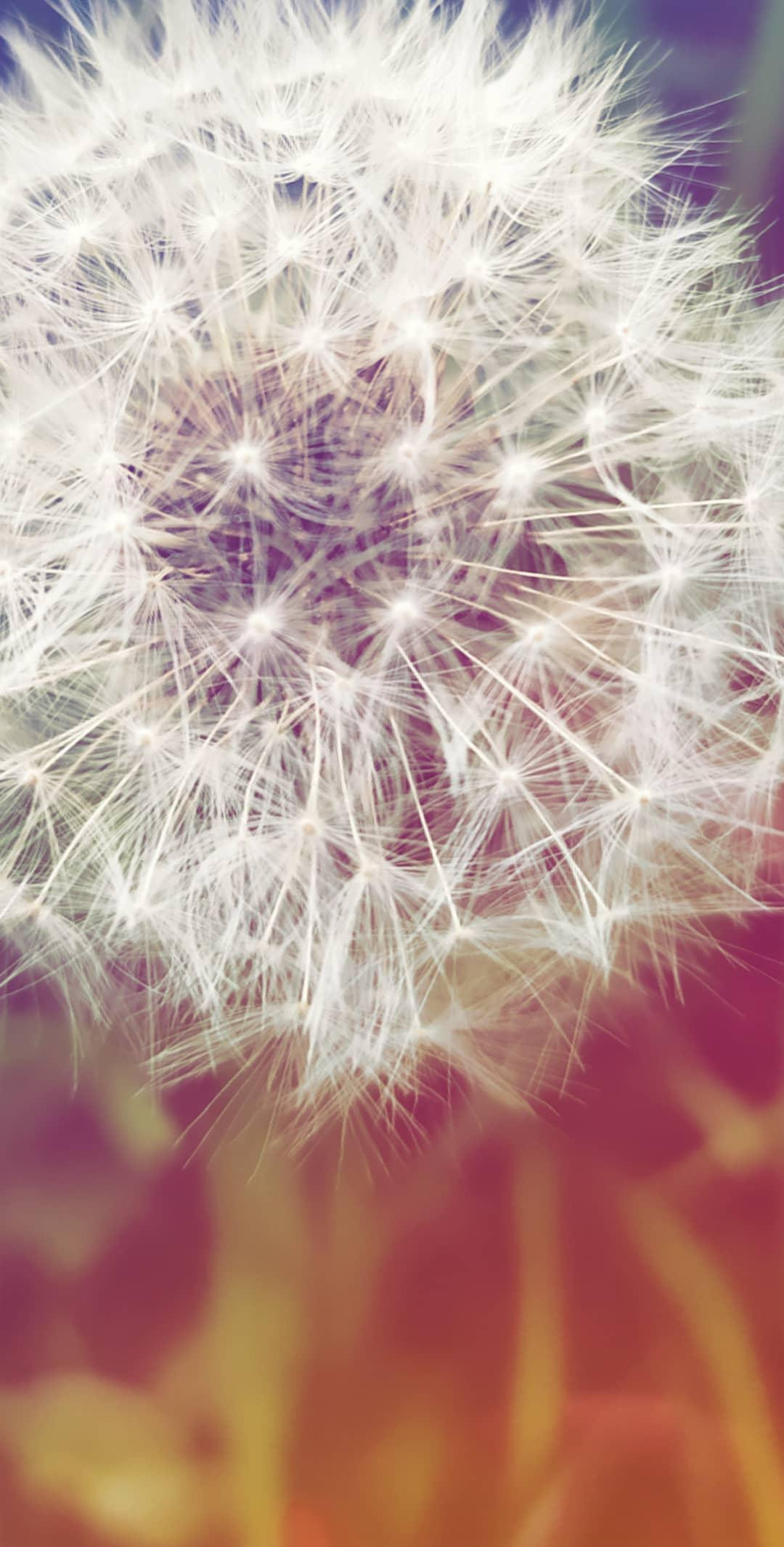 Фотограф Татьяна Марсуверских г. Жуковский, Москва. Репортажные съёмки, фотосессии, фотограф анималист, артфотограф, фотограф пейзажист. Фотограф для маркетплейсов, фотоуслуги в Жуковском Татьяна Марсуверских